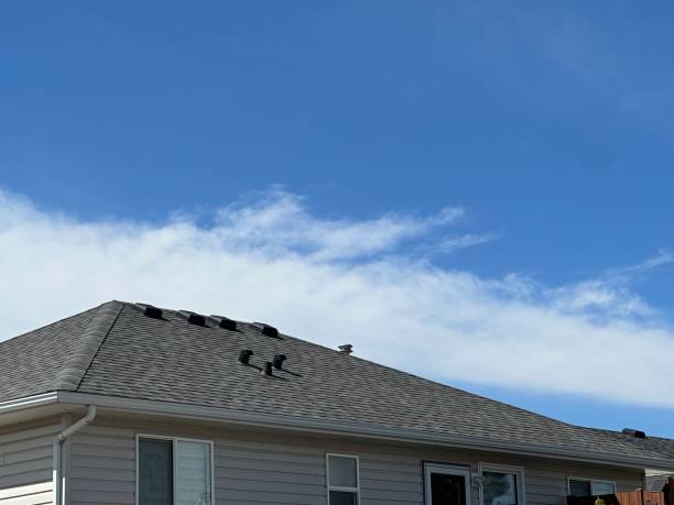 Professional Roofing Service in Edgecliff Village, TX